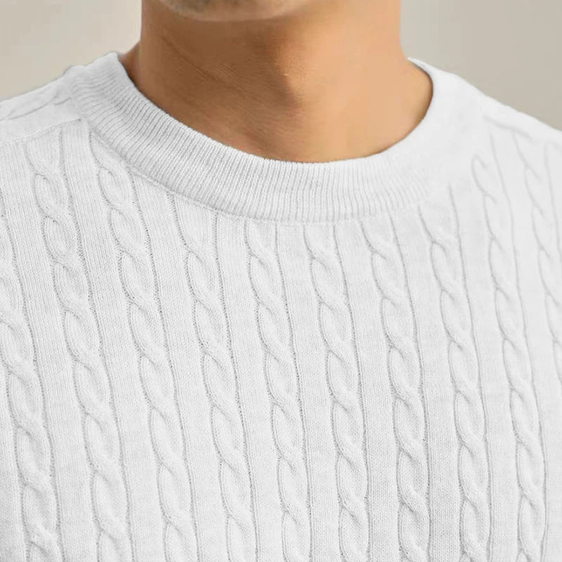 Animal Game Herren-Strickpullover